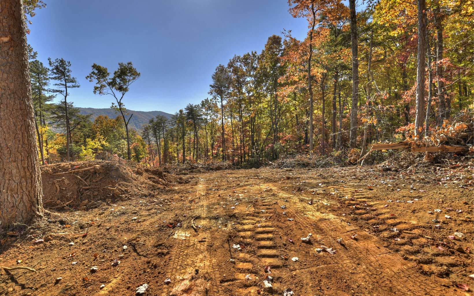 8 Deer Crest Road Blue Ridge, GA 30513 - Photo 9 of 19 Additional View