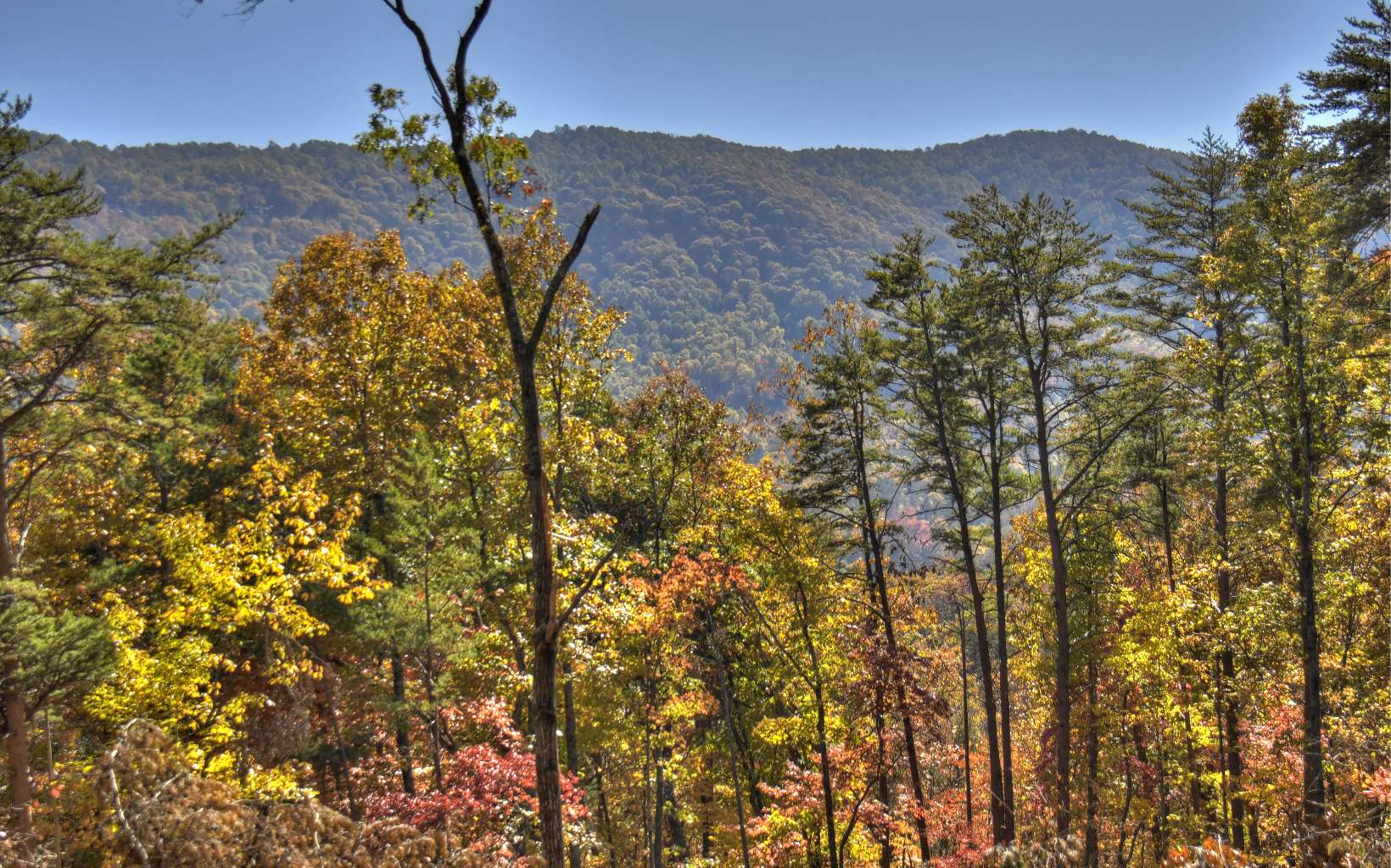 8 Deer Crest Road Blue Ridge, GA 30513 - Photo 10 of 19 Additional View
