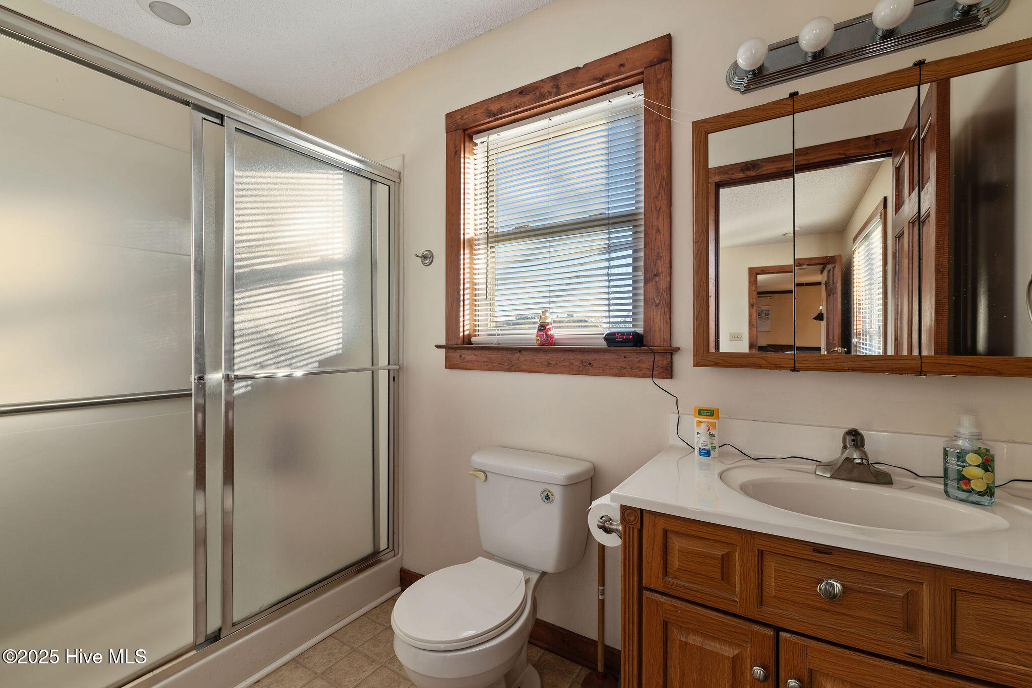 625 Garner Chapel Road Mount Olive, NC 28365 - Photo 20 of 33 Primary Bathroom