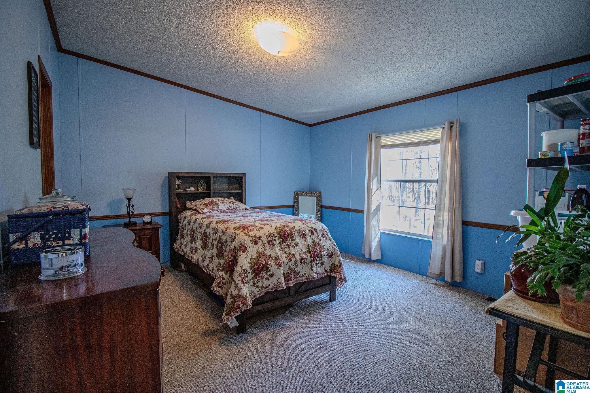 1809 Blue Ridge Road Lineville, AL 36266 - Photo 35 of 69