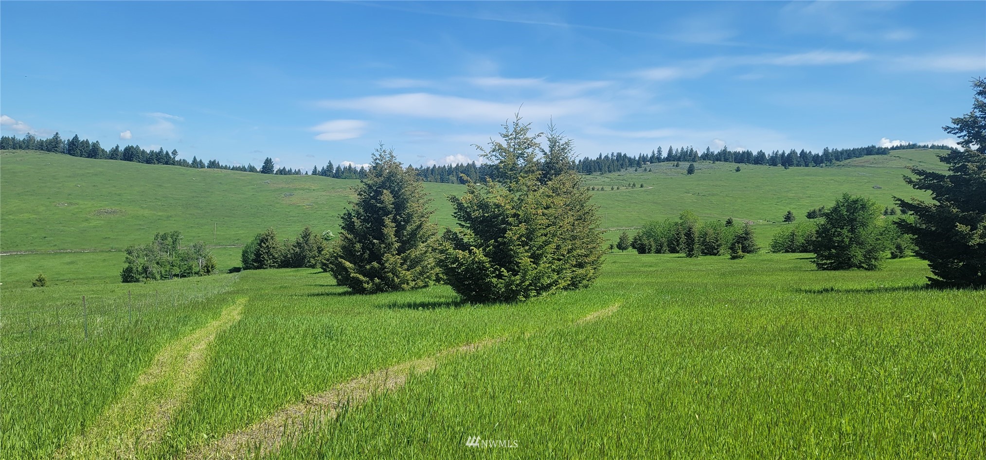 176 Fletcher Road Oroville, WA 98844 - Photo 16 of 23 Gallery Image 16