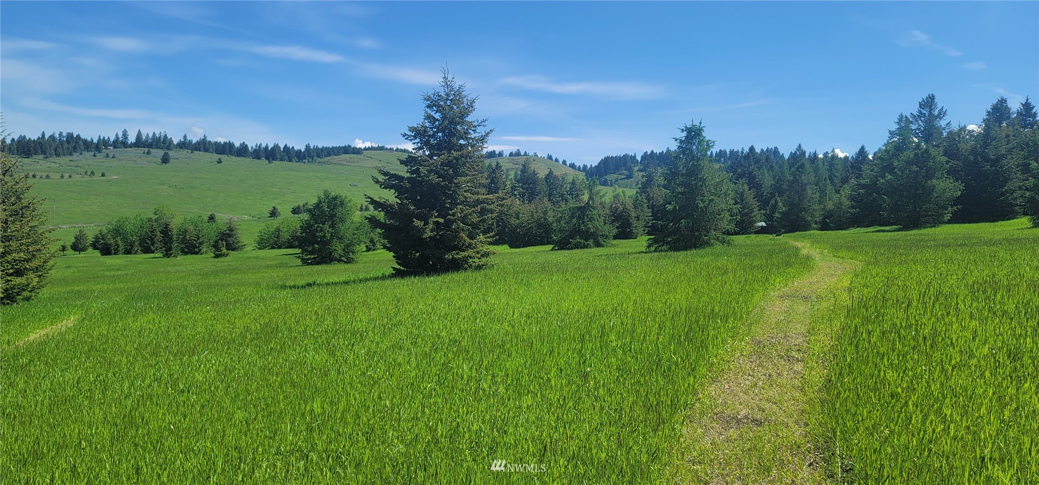 176 Fletcher Road Oroville, WA 98844 - Photo 20 of 23 Gallery Image 20