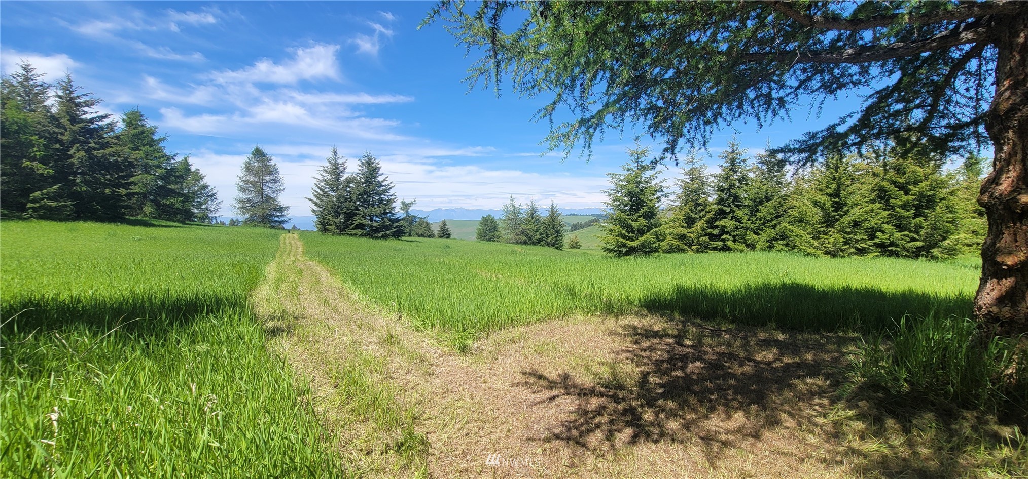 176 Fletcher Road Oroville, WA 98844 - Photo 23 of 23 Gallery Image 23