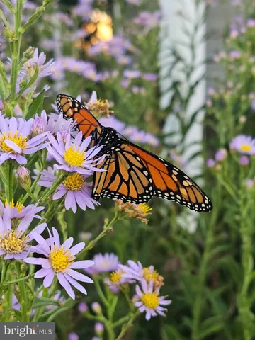 $449,000 | 4738 Idlewilde Road, Shady Side, MD 20764