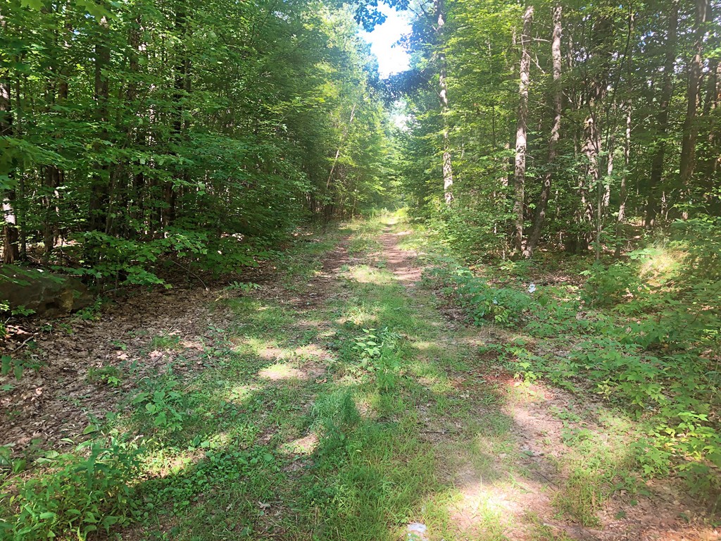 99 Carruth Road Templeton, MA 01468 - Photo 2 of 5 Gallery Image 2