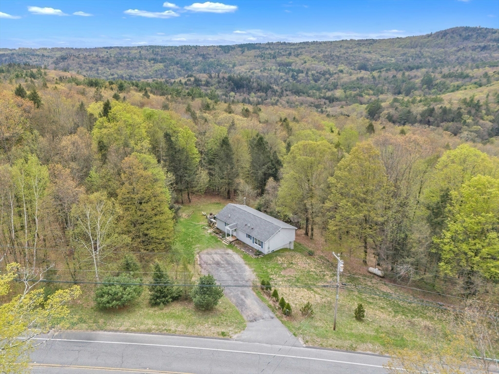583 Main Road Chesterfield, MA 01012 - Photo 21 of 21 a view of a pathway both side of yard