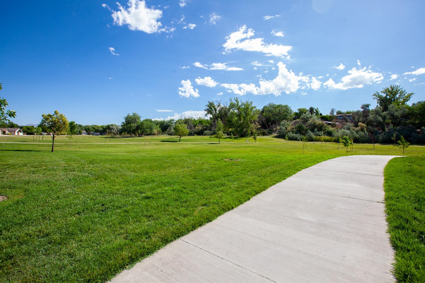 607 Saffron Way Grand Junction, CO 81505 - Photo 41 of 42