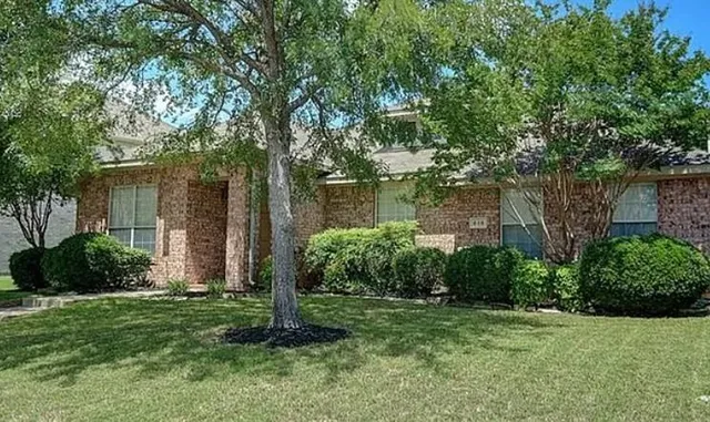 a backyard of a house with plants and large trees