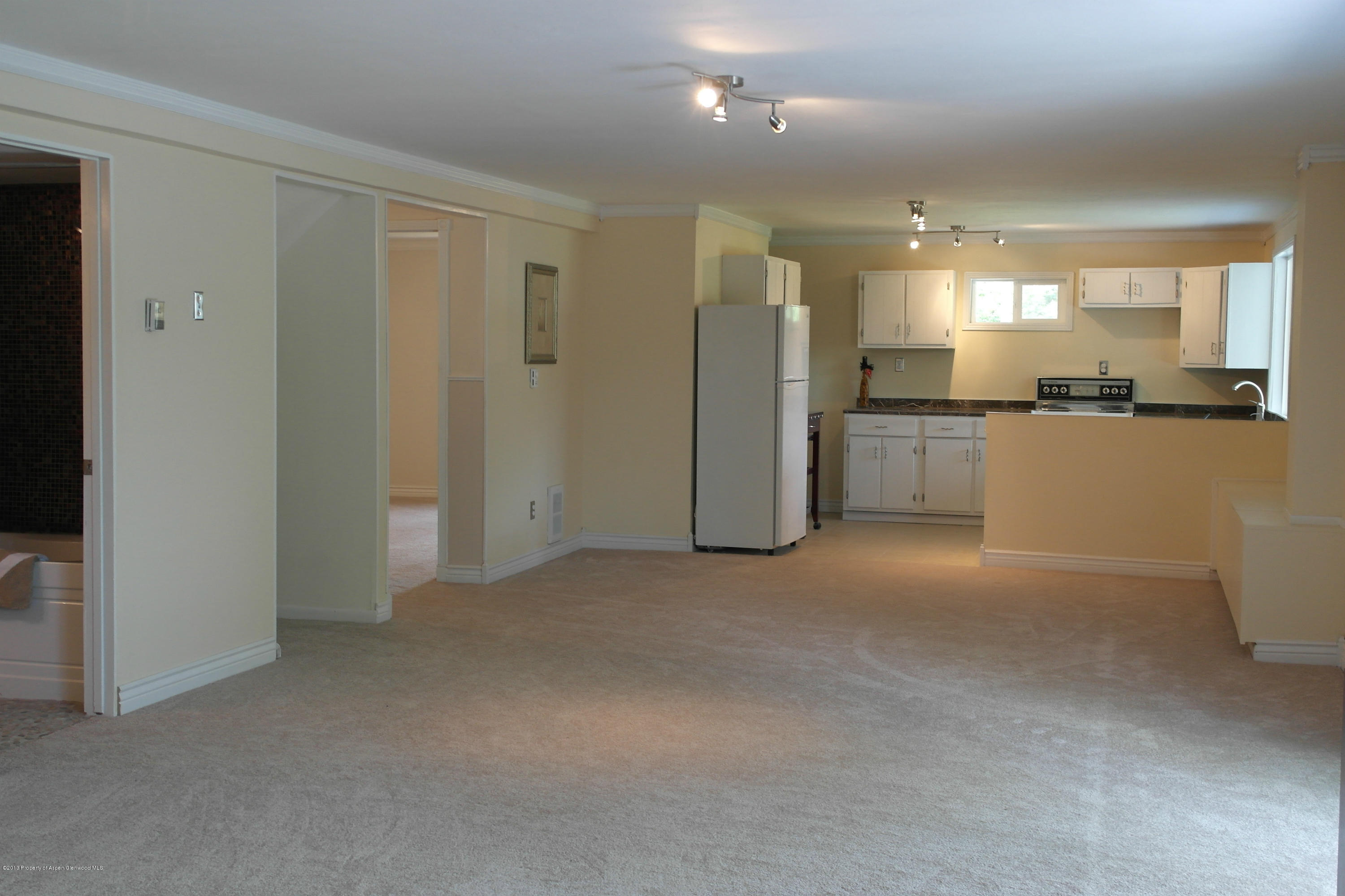 767 7 Oaks Road Carbondale, CO 81623 - Photo 26 of 27 SAM_2653
