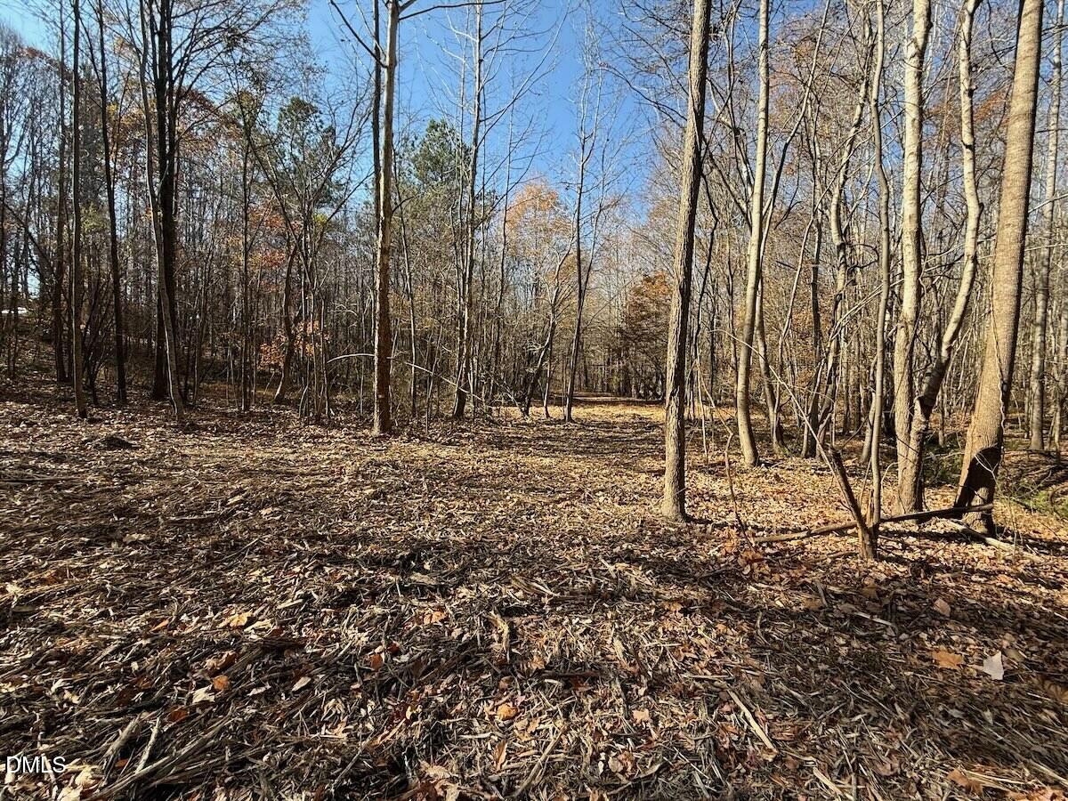 0 Stone Drive Roxboro, NC 27573 - Photo 62 of 96 47