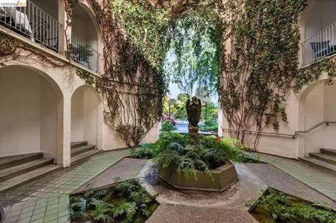 a view of a garden with plants