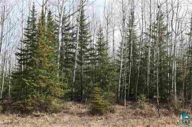 0 Evergreen Road Iron River, WI 54847 - Photo 1 of 3