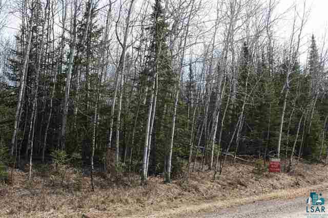 0 Evergreen Road Iron River, WI 54847 - Photo 3 of 3