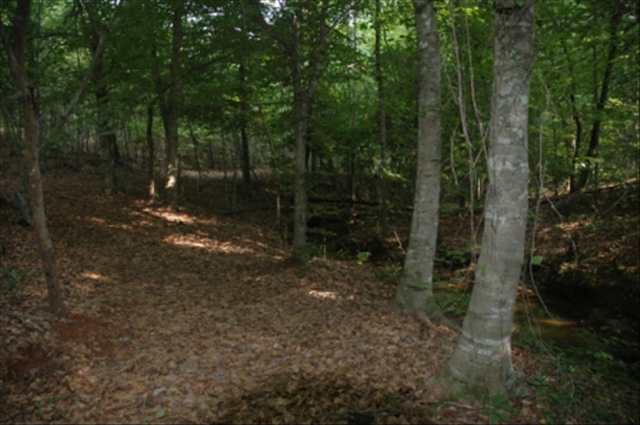 250 Ridgewood Road West Union, SC 29696 - Photo 15 of 20 Gallery Image 15