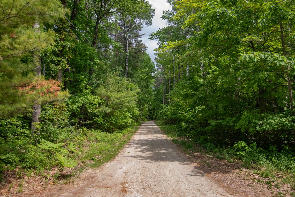 Tbd Pine Tree Road Sturgeon Bay, WI 54235 - Photo 5 of 8