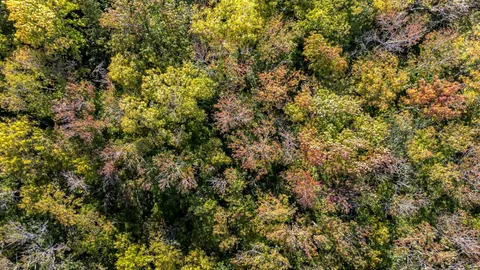 $2,195,000 | 5142 Stanford Drive, Nashville, TN 37215