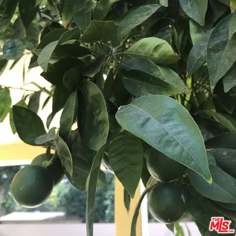 $8,900 | 11540 Blix Street, Valley Village, CA 91602