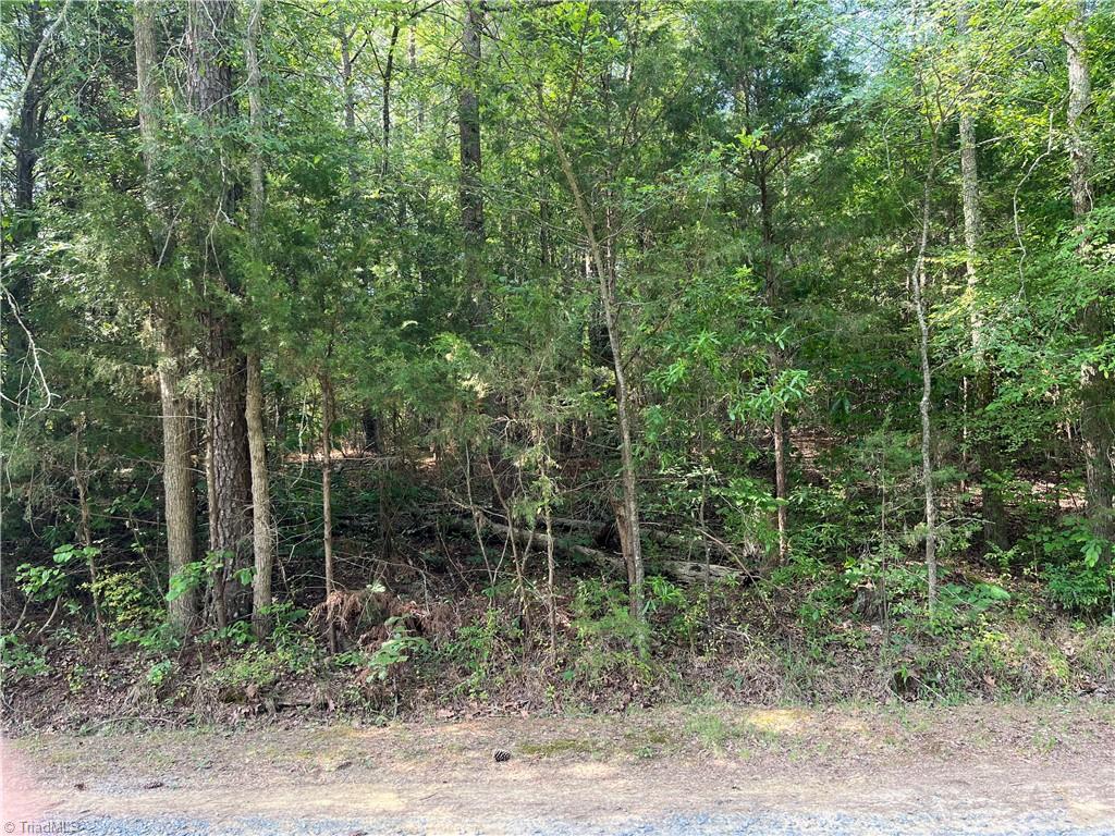0 Silver Maple Road Sophia, NC 27350 - Photo 2 of 2