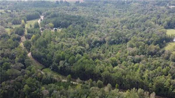 $231,239 | 93-acres 93-acres Laverne Crain Road, Angie, LA 70426