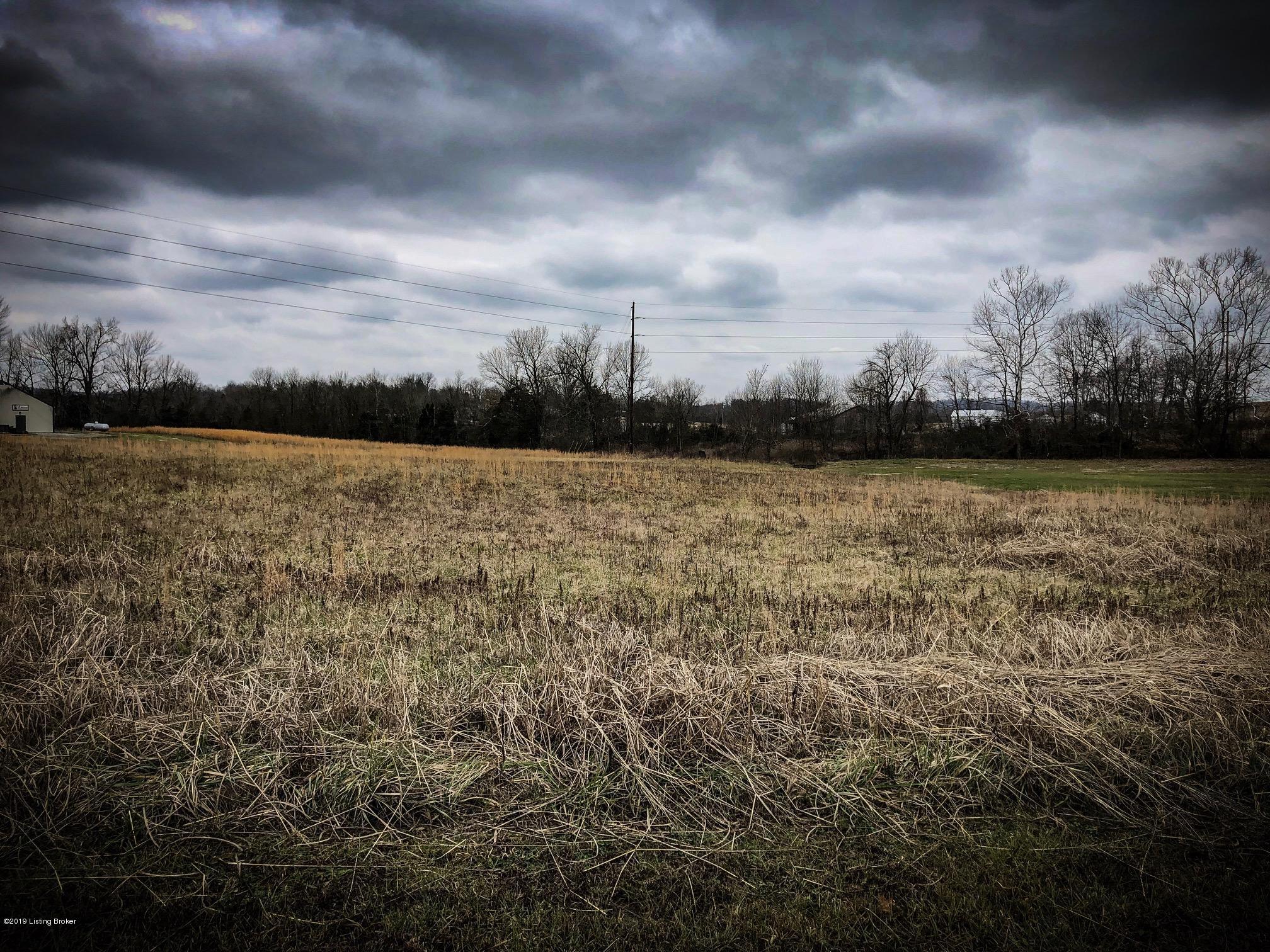 0 Alex Drive Falls Of Rough, KY 40119 - Photo 1 of 2 lot