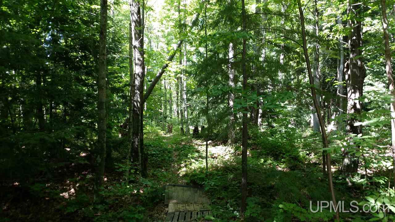 3746 Maatta Road Toivola, MI 49965 - Photo 27 of 36 Gallery Image 27