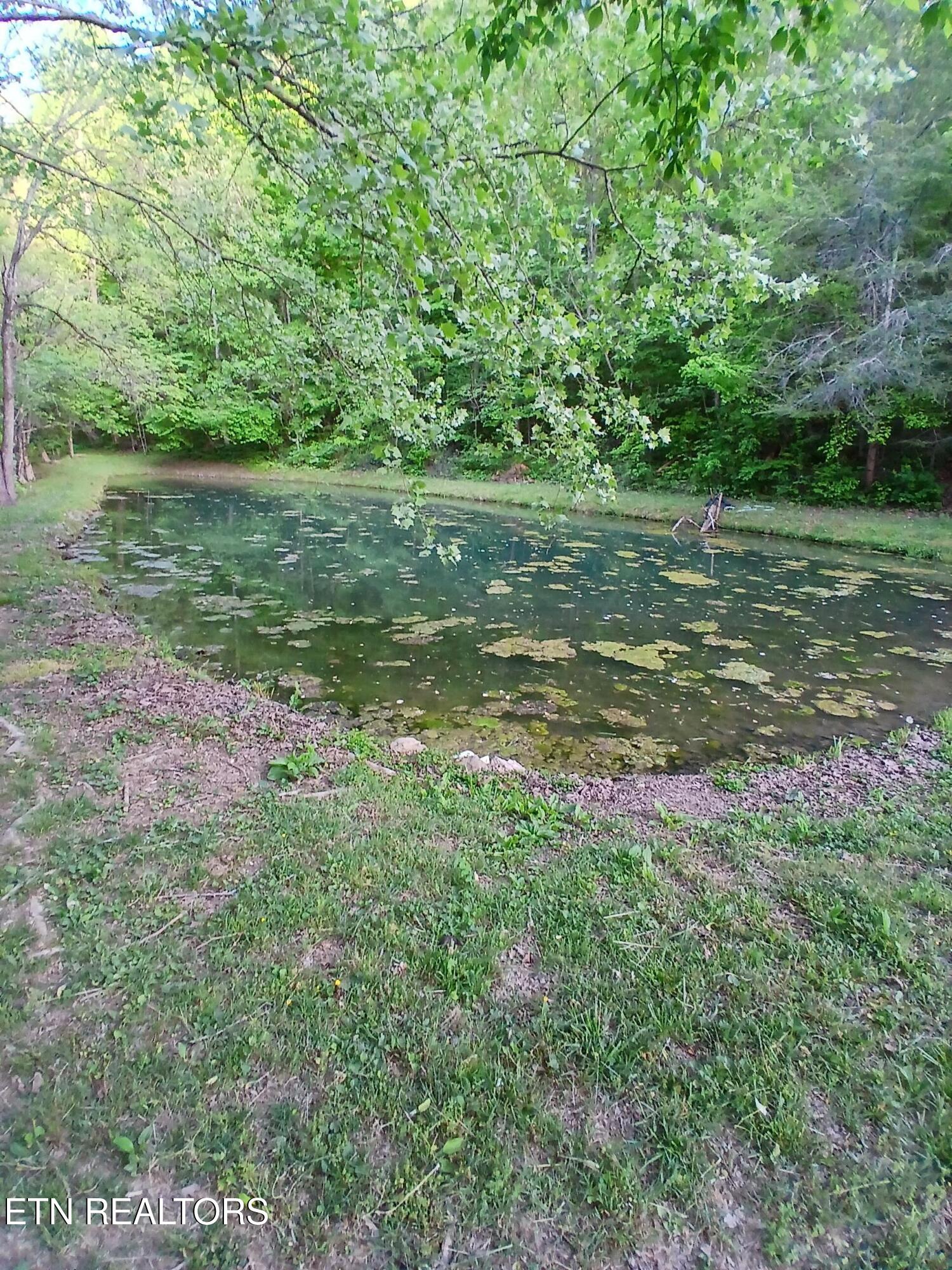 469 Brownlo Road Sneedville, TN 37869 - Photo 48 of 58 20260427_190943