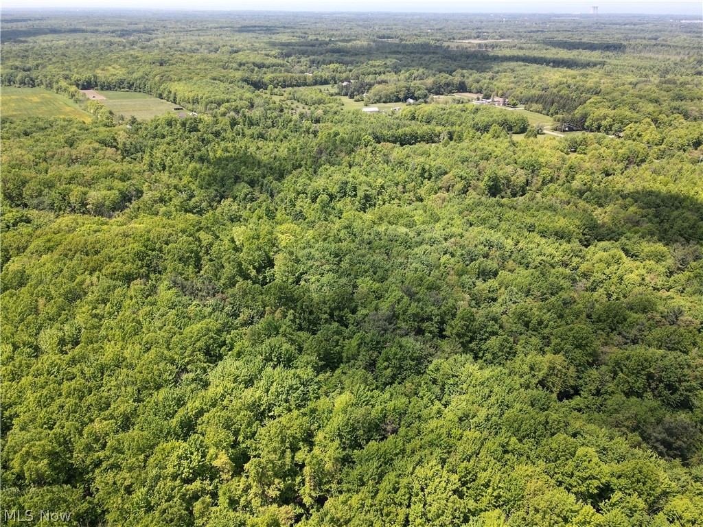 V/l Madison Road Thompson, OH 44086 - Photo 16 of 18