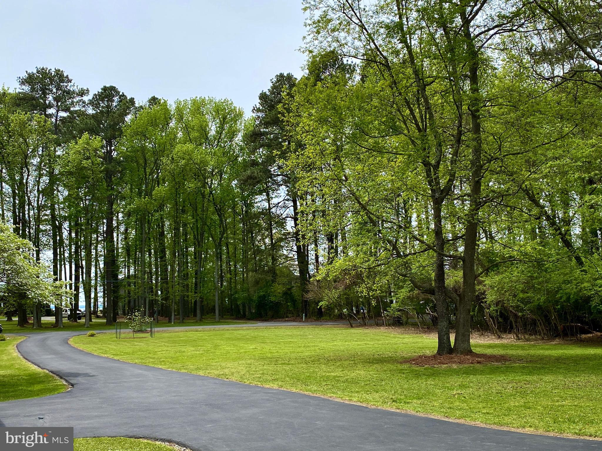 12210 Potomac View Road Newburg, MD 20664 - Photo 4 of 63 Gallery Image 4