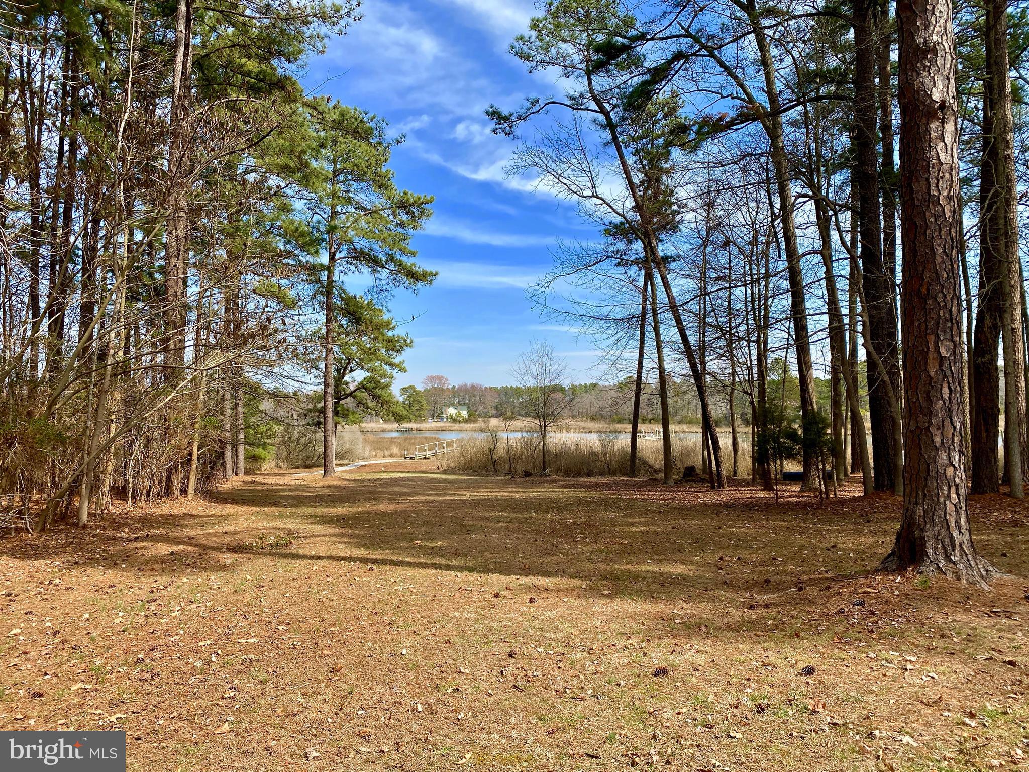 12210 Potomac View Road Newburg, MD 20664 - Photo 45 of 63 backyard