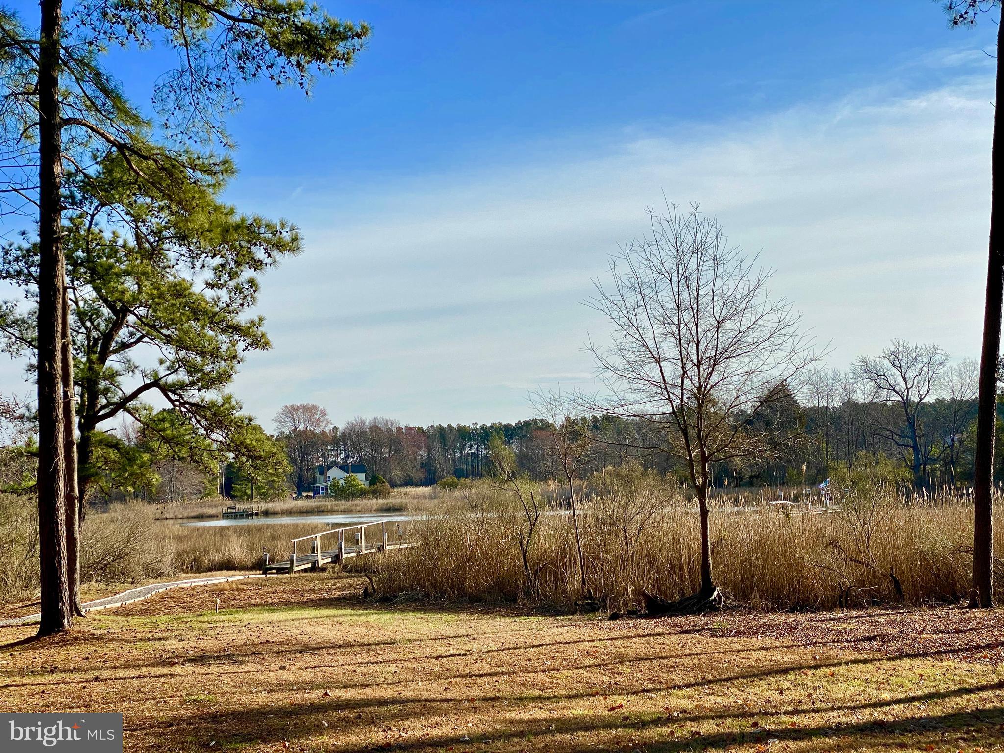 12210 Potomac View Road Newburg, MD 20664 - Photo 49 of 63 Backyard