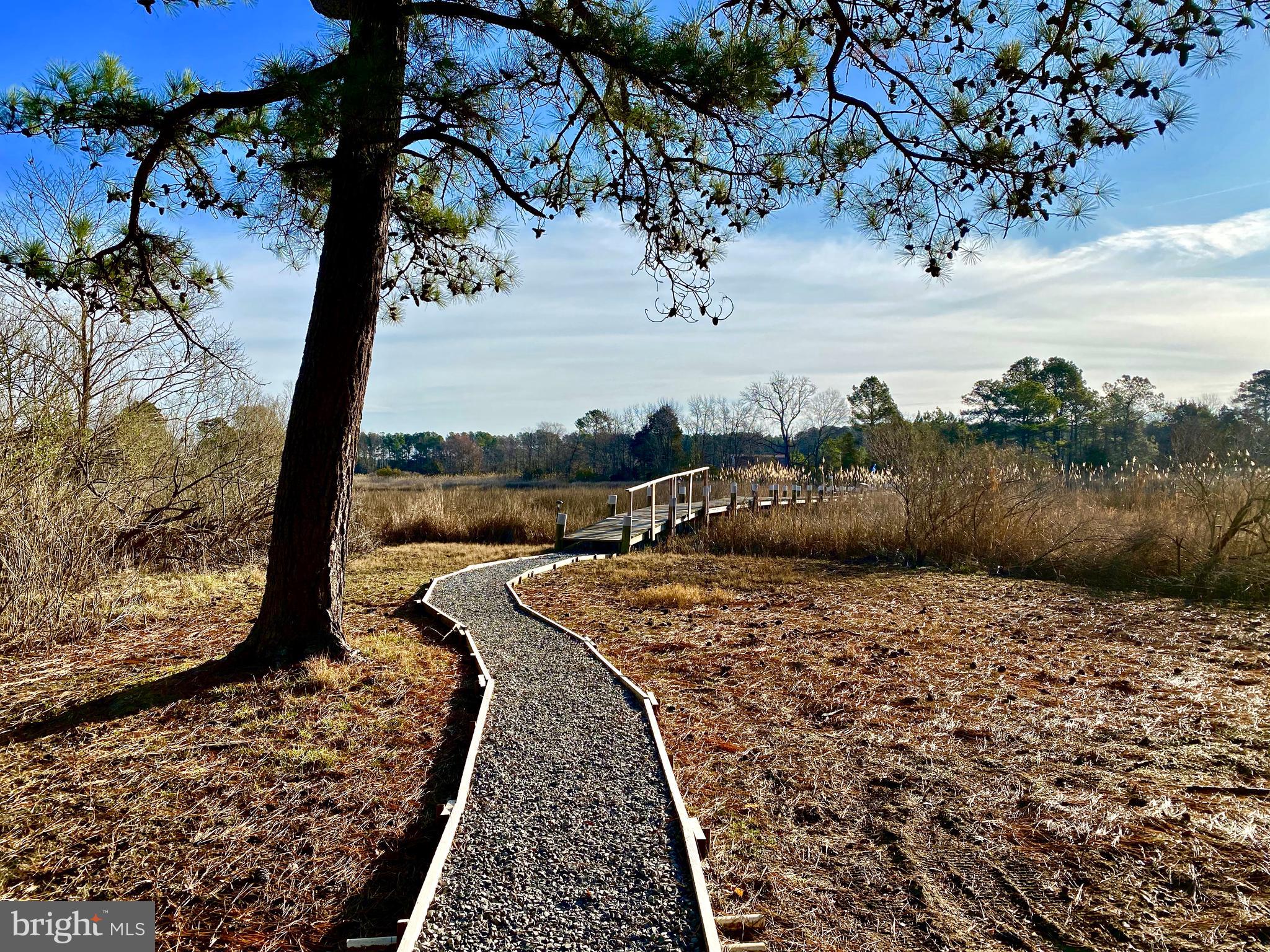 12210 Potomac View Road Newburg, MD 20664 - Photo 50 of 63 Path to dock