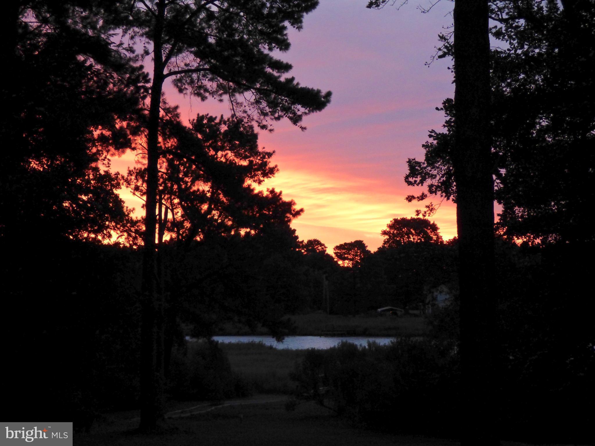 12210 Potomac View Road Newburg, MD 20664 - Photo 59 of 63 Morning sunrise