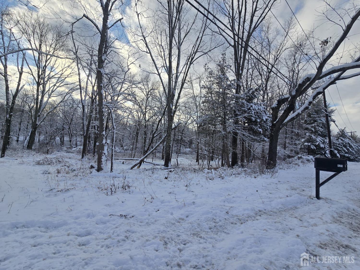 121 Belle Mead-Griggstown Road Belle Mead, NJ 08502 - Photo 2 of 6 a view of dirt and trees