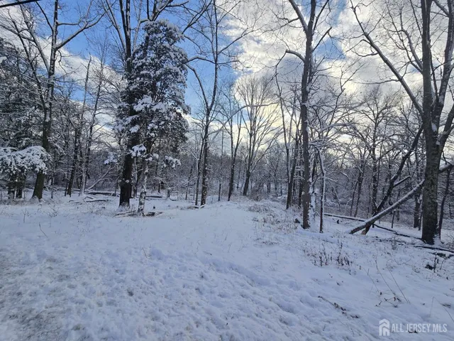 $1,999,000 | 121 Belle Mead-Griggstown Road, Belle Mead, NJ 08502