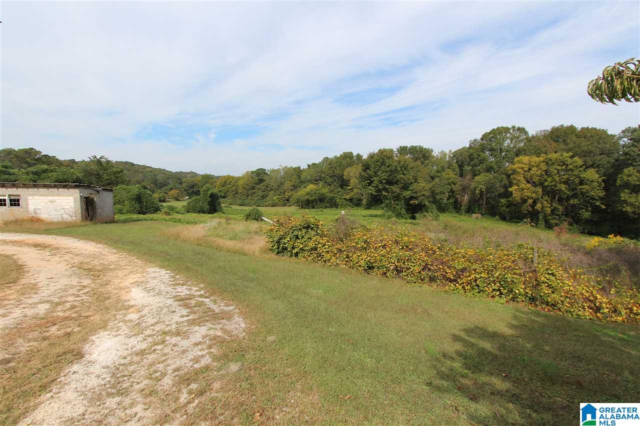 1051 Aderholt Road Piedmont, AL 36272 - Photo 7 of 9