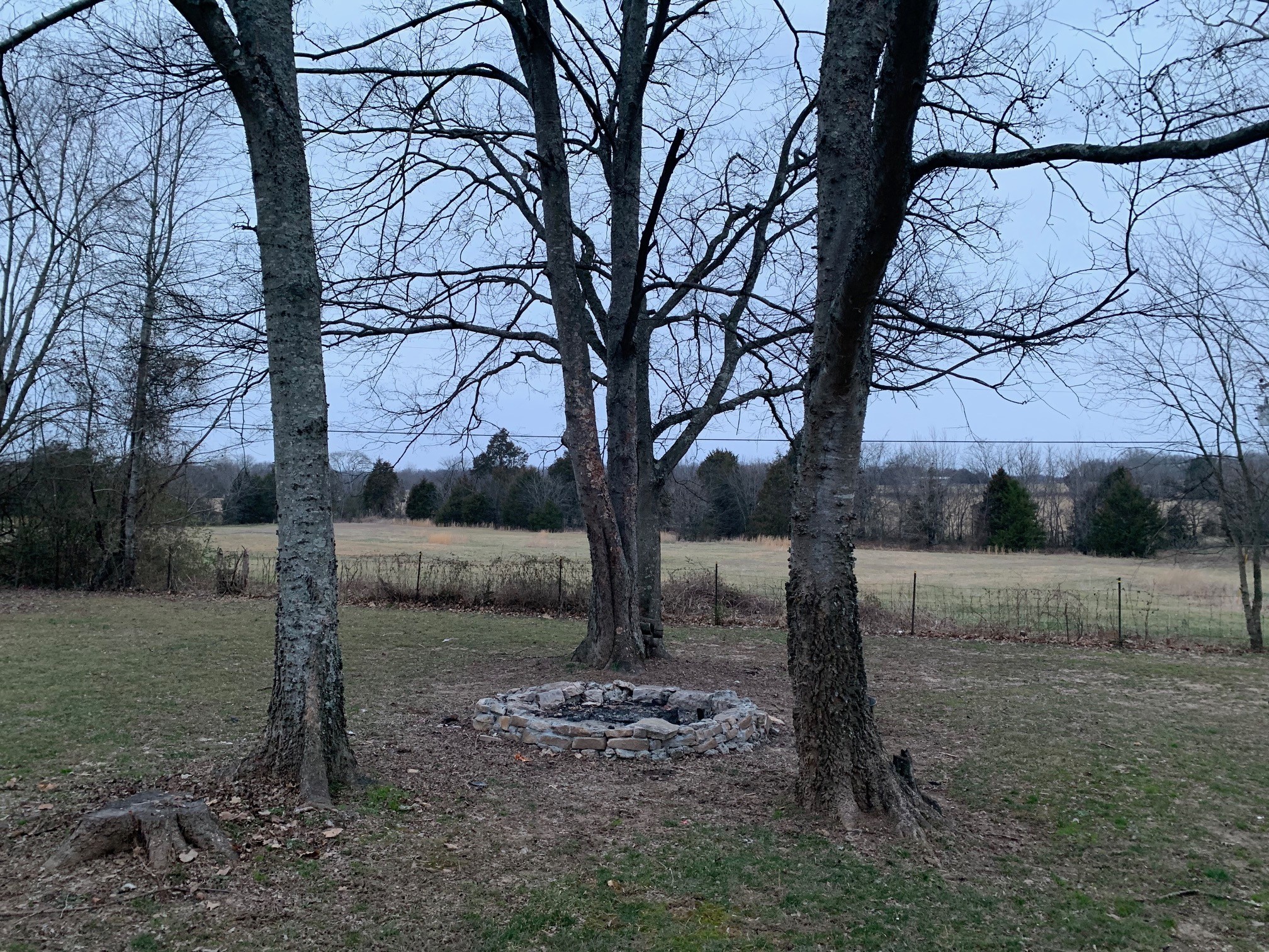 3255 Old Rome Pike Lebanon, TN 37087 - Photo 21 of 23 a view of a yard with a tree