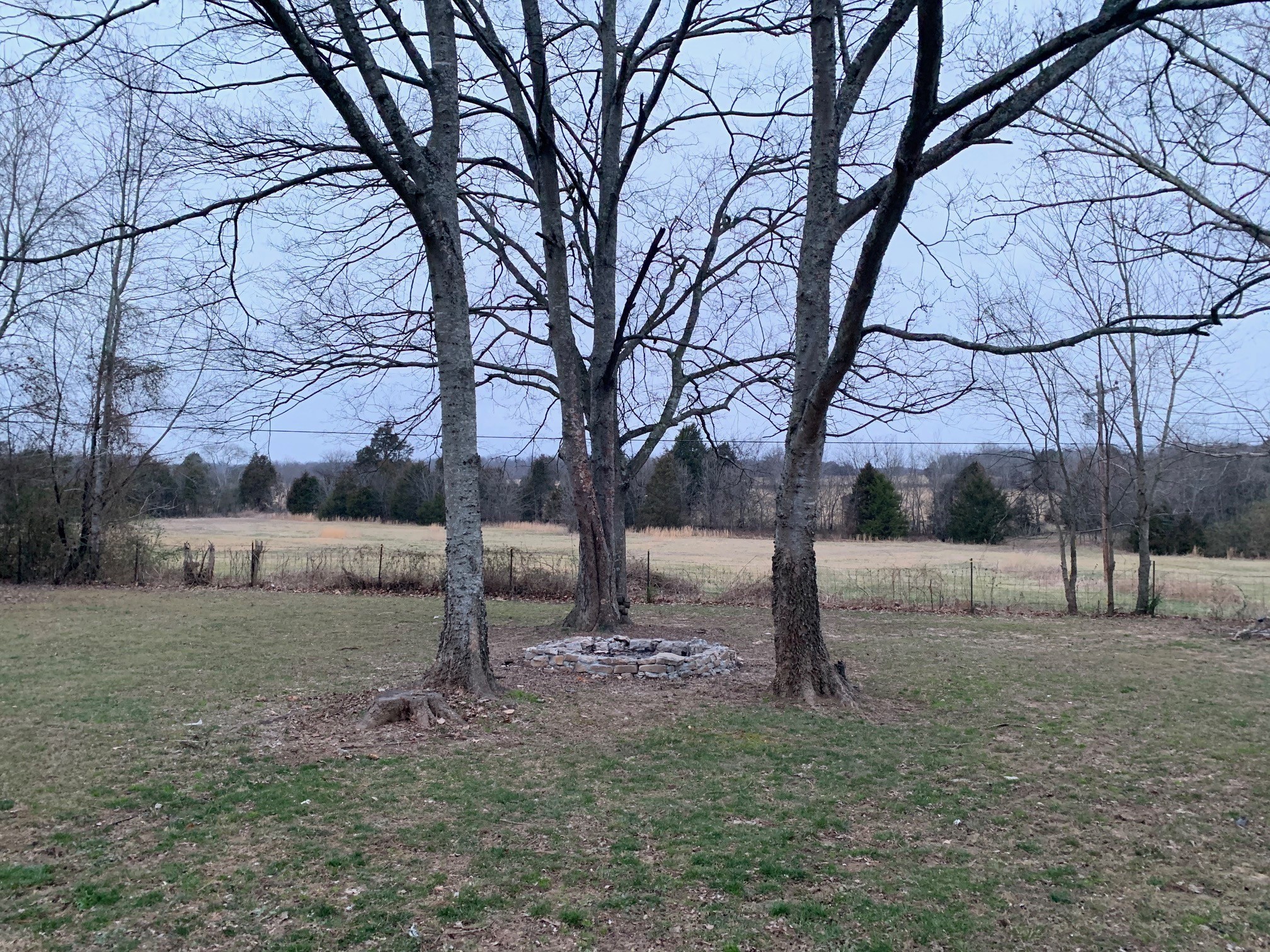 3255 Old Rome Pike Lebanon, TN 37087 - Photo 22 of 23 a view of a yard with trees