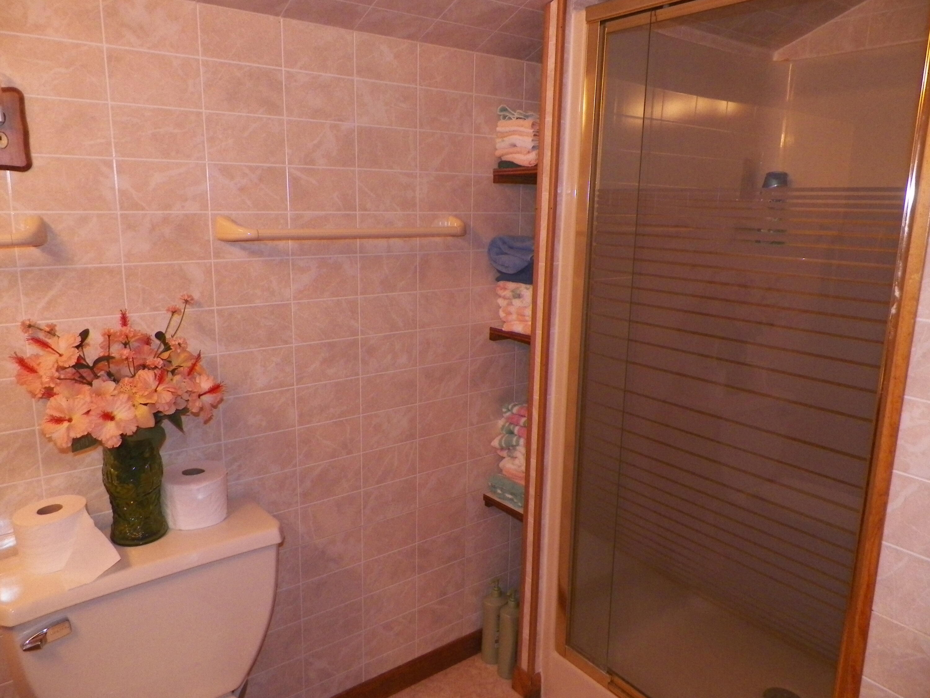 408 Garfield Street Luther, MI 49656 - Photo 19 of 26 100_4127