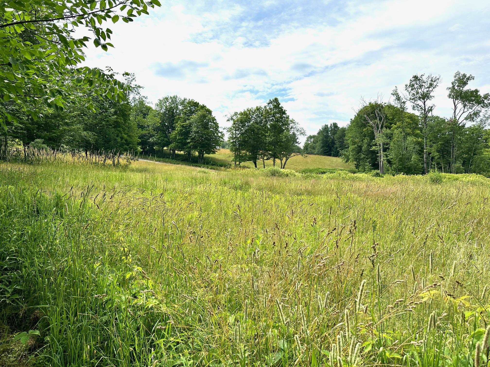 3128 Windham Hill Road Windham, VT 05359 - Photo 7 of 16