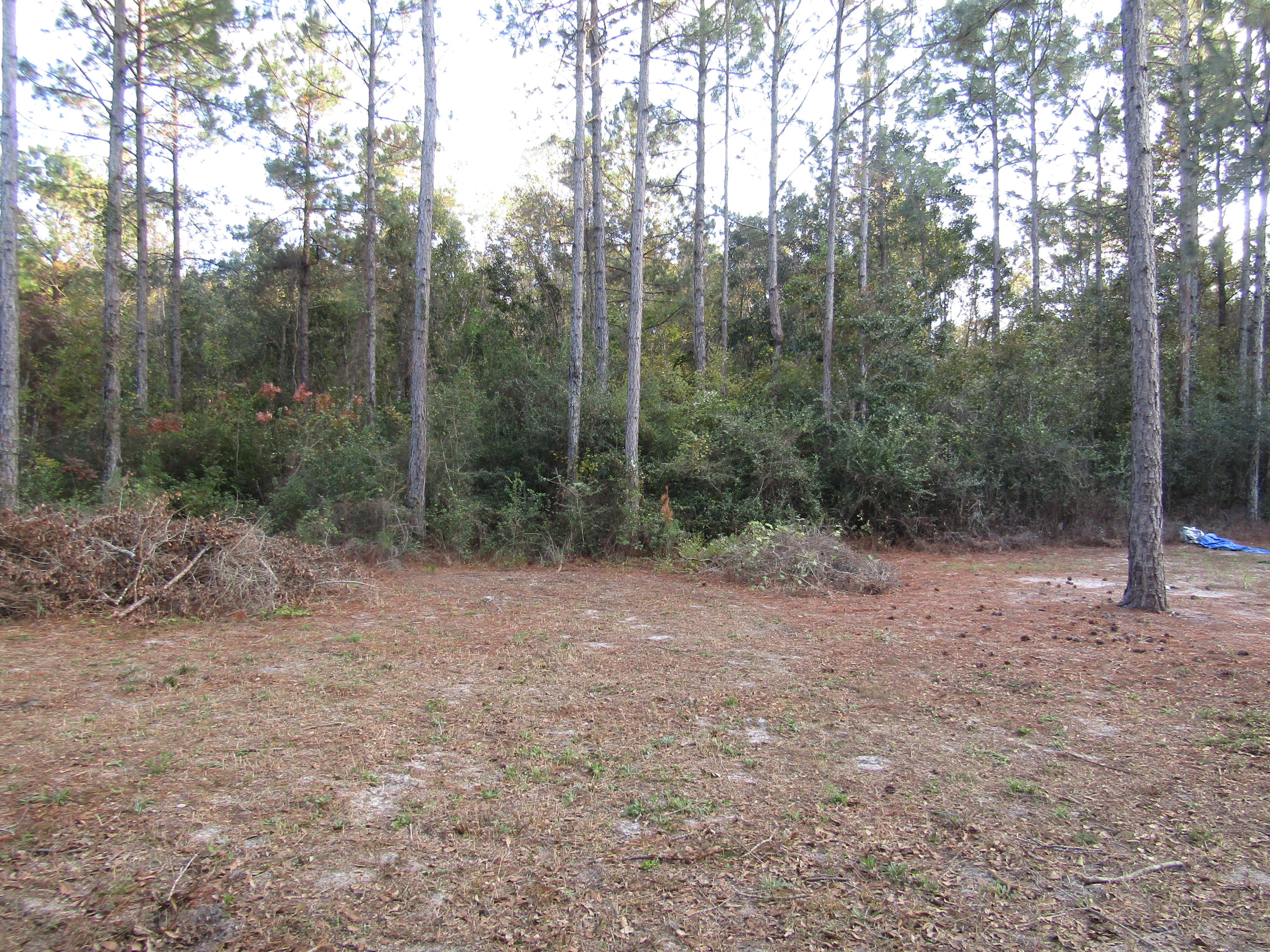 428 Symphony Way Freeport, FL 32439 - Photo 18 of 49 IMG_0248