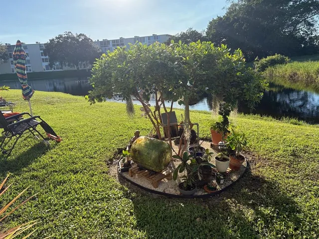 a view of a garden with lawn chairs