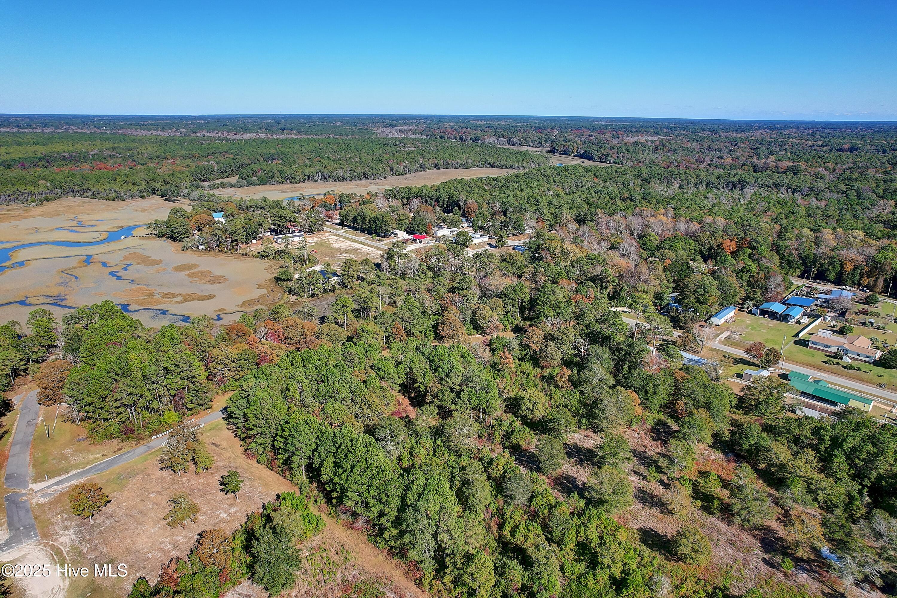 2021 Sea Lavender Road Southwest Supply, NC 28462 - Photo 10 of 19 Arial View of Lot