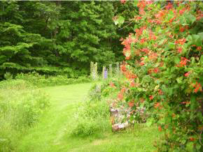27 Sawnee Bean Road Strafford, VT 05075 - Photo 22 of 26