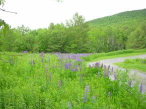 27 Sawnee Bean Road Strafford, VT 05075 - Photo 23 of 26