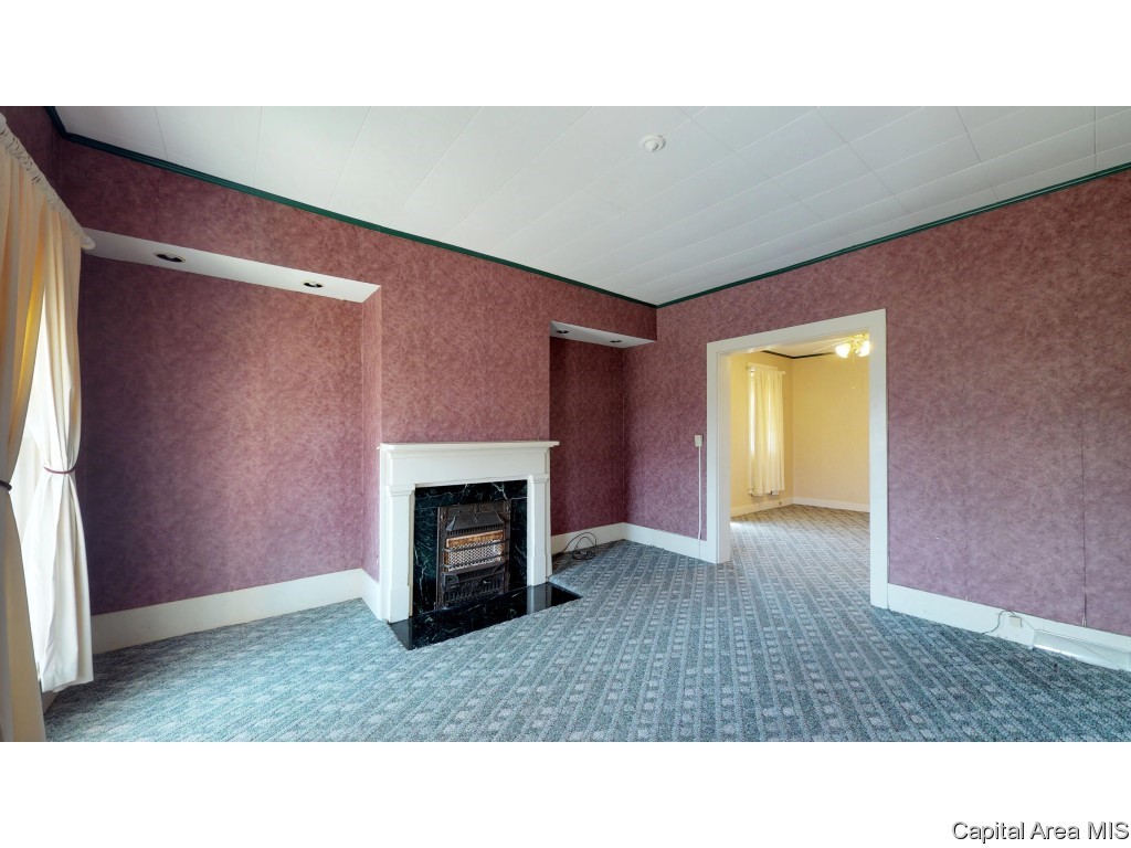 12043 Salisbury Road Pleasant Plains, IL 62677 - Photo 3 of 35 Gallery Image 3