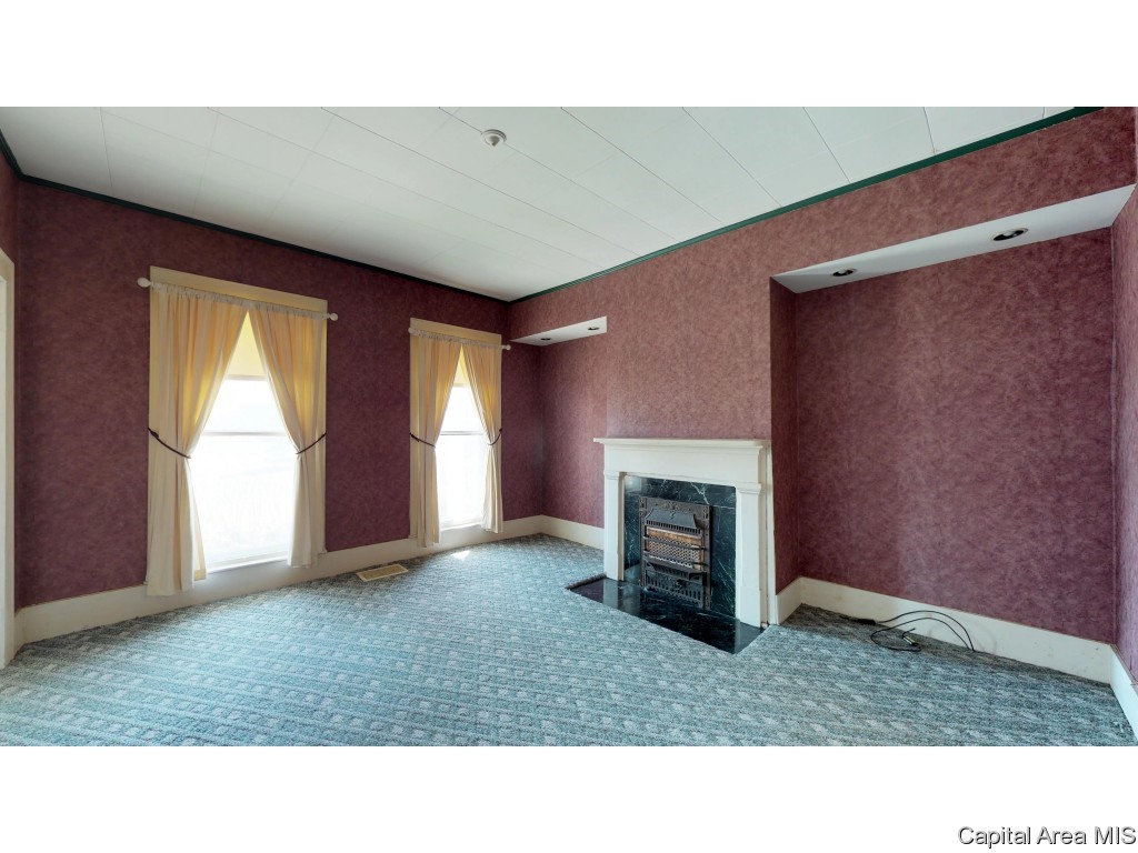 12043 Salisbury Road Pleasant Plains, IL 62677 - Photo 4 of 35 Gallery Image 4