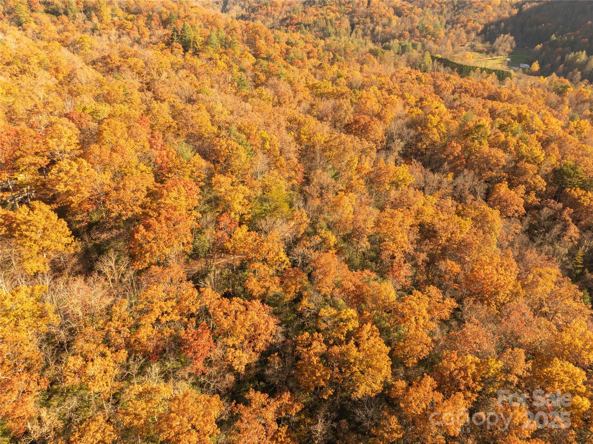 4444 Conley Rdg Trail Franklin, NC 28734 - Photo 11 of 16 a view of a covered with fog