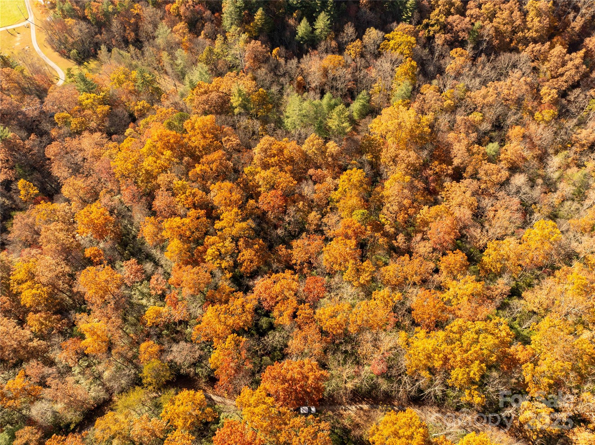 4444 Conley Rdg Trail Franklin, NC 28734 - Photo 13 of 16 a view of a tree
