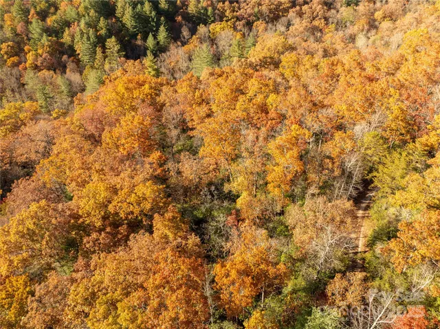 $39,900 | 4444 Conley Rdg Trail, Franklin, NC 28734