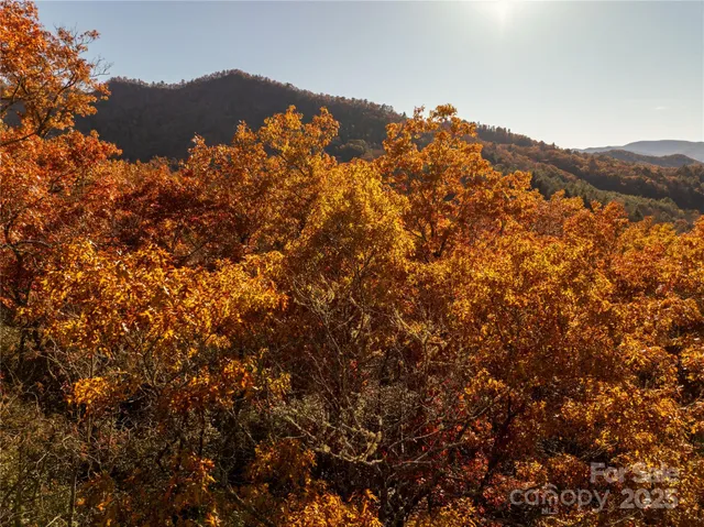 $39,900 | 4444 Conley Rdg Trail, Franklin, NC 28734